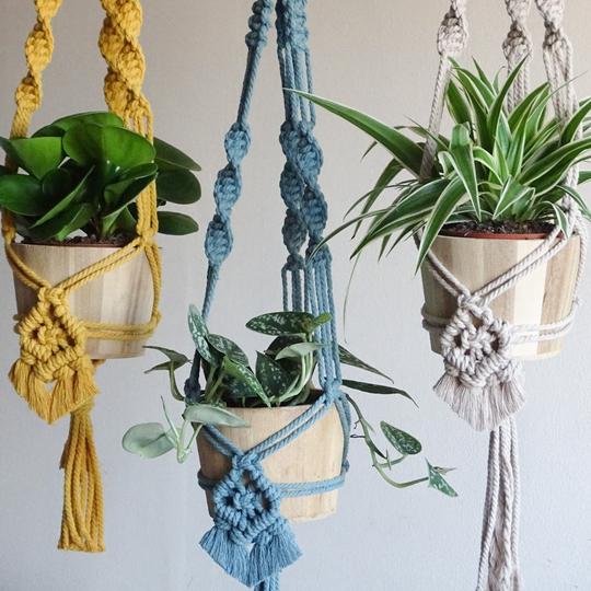 Yellow, blue and natural diy macramé plant pot hangers. These has been made using Anchor Crafty