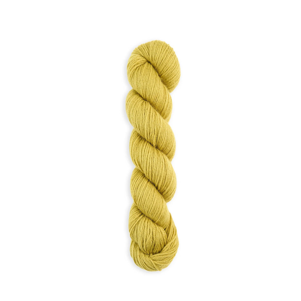 Bramble & Fleece Wooltrace DK British wool yarn in shade Dried Lime 306
