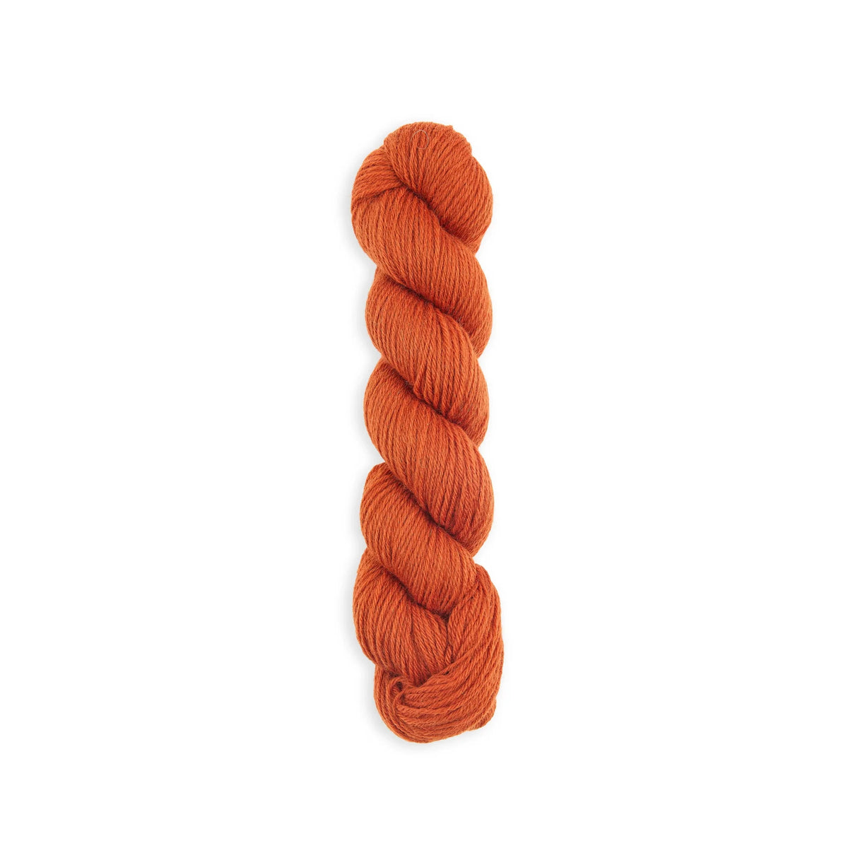Bramble & Fleece Wooltrace DK British wool yarn in shade Sunset 300