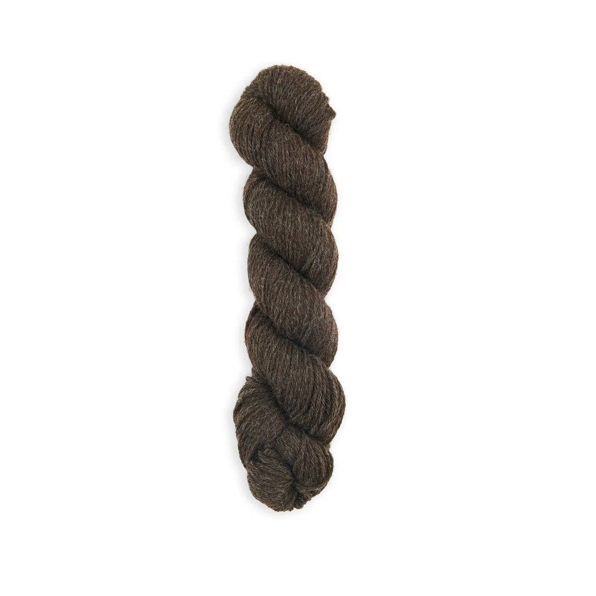 Bramble & Fleece Sheepsoft Aran British wool yarn in shade Eskdale 346