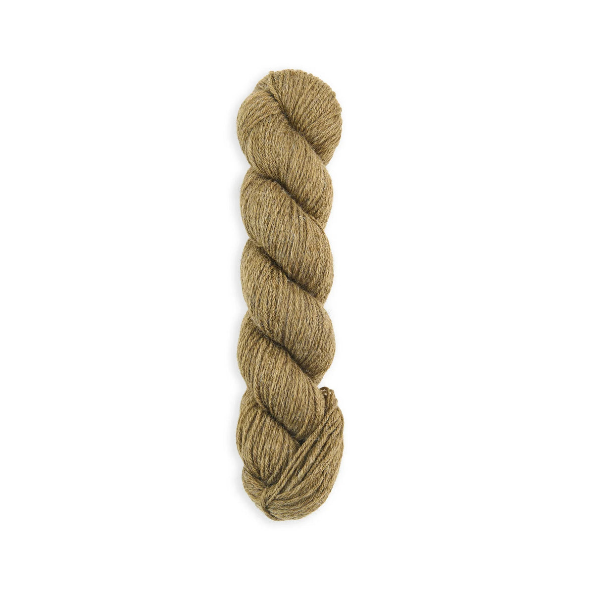 Bramble & Fleece Sheepsoft DK British wool yarn in shade Malham 286