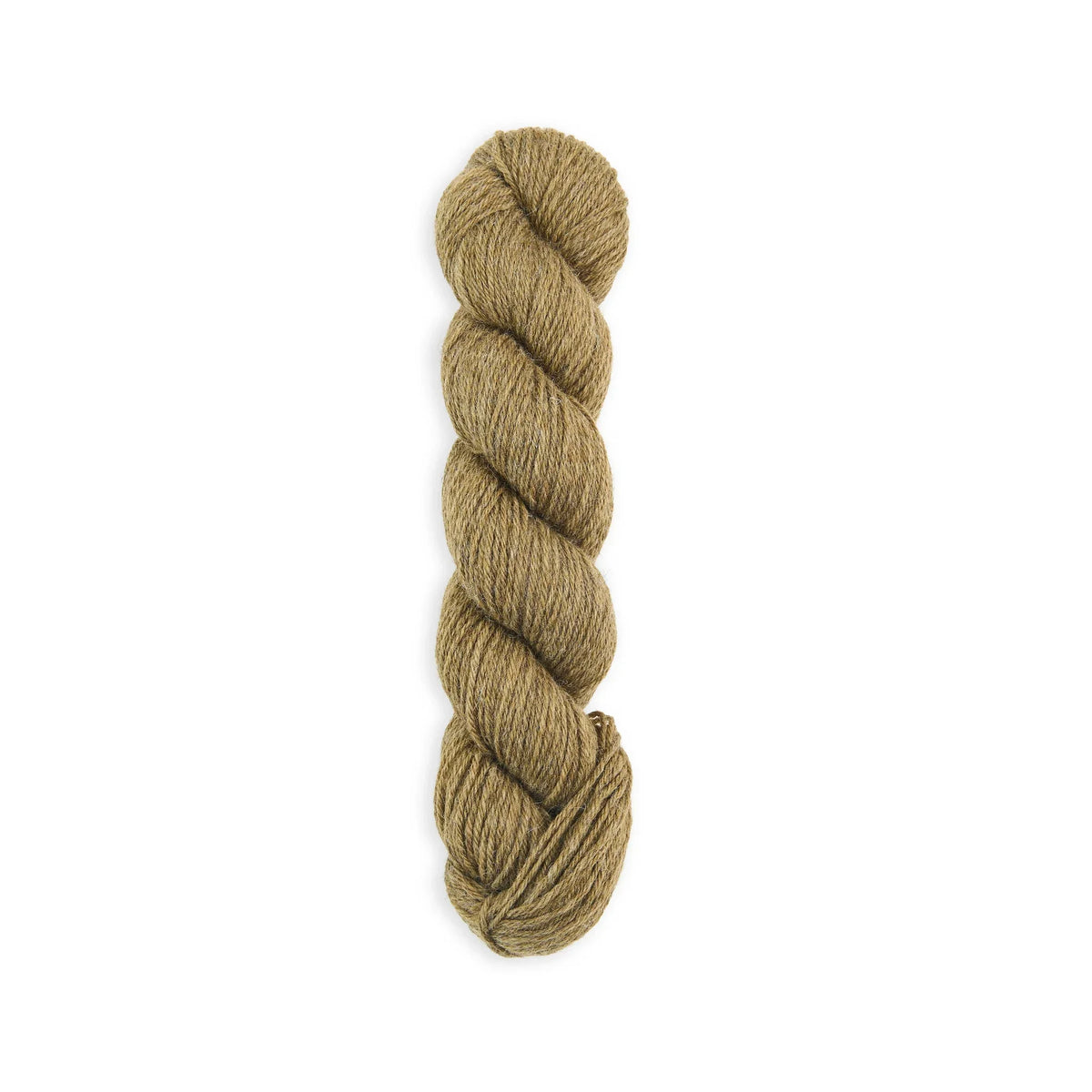 Bramble & Fleece Sheepsoft DK British wool yarn in shade Malham 286, the shade photographed
