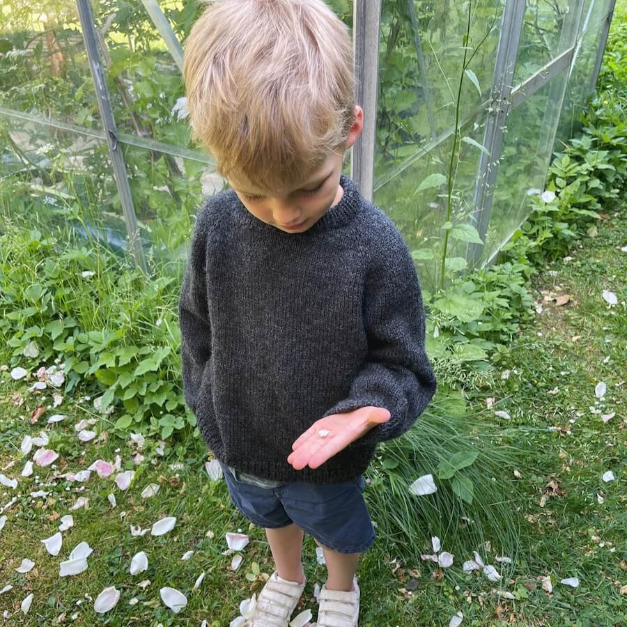 PetiteKnit Storm Sweater Baby - Strickanleitung