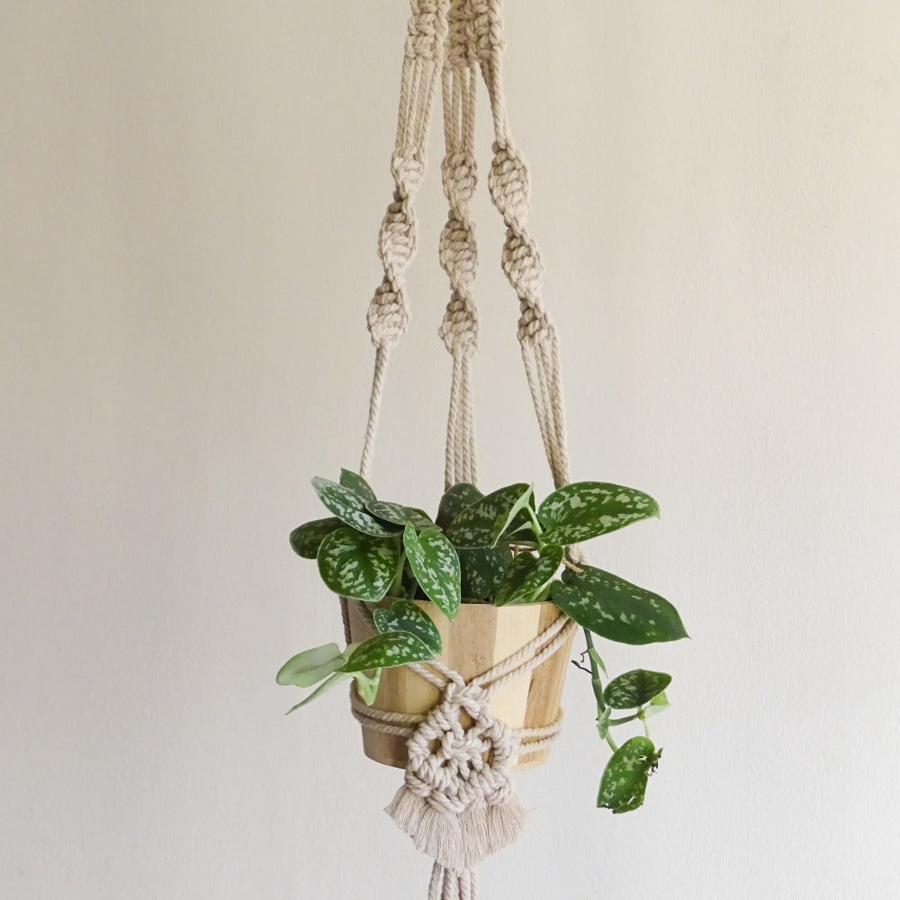Boho Style Plant Hanger - Macramé Pattern (FREE PDF Download)