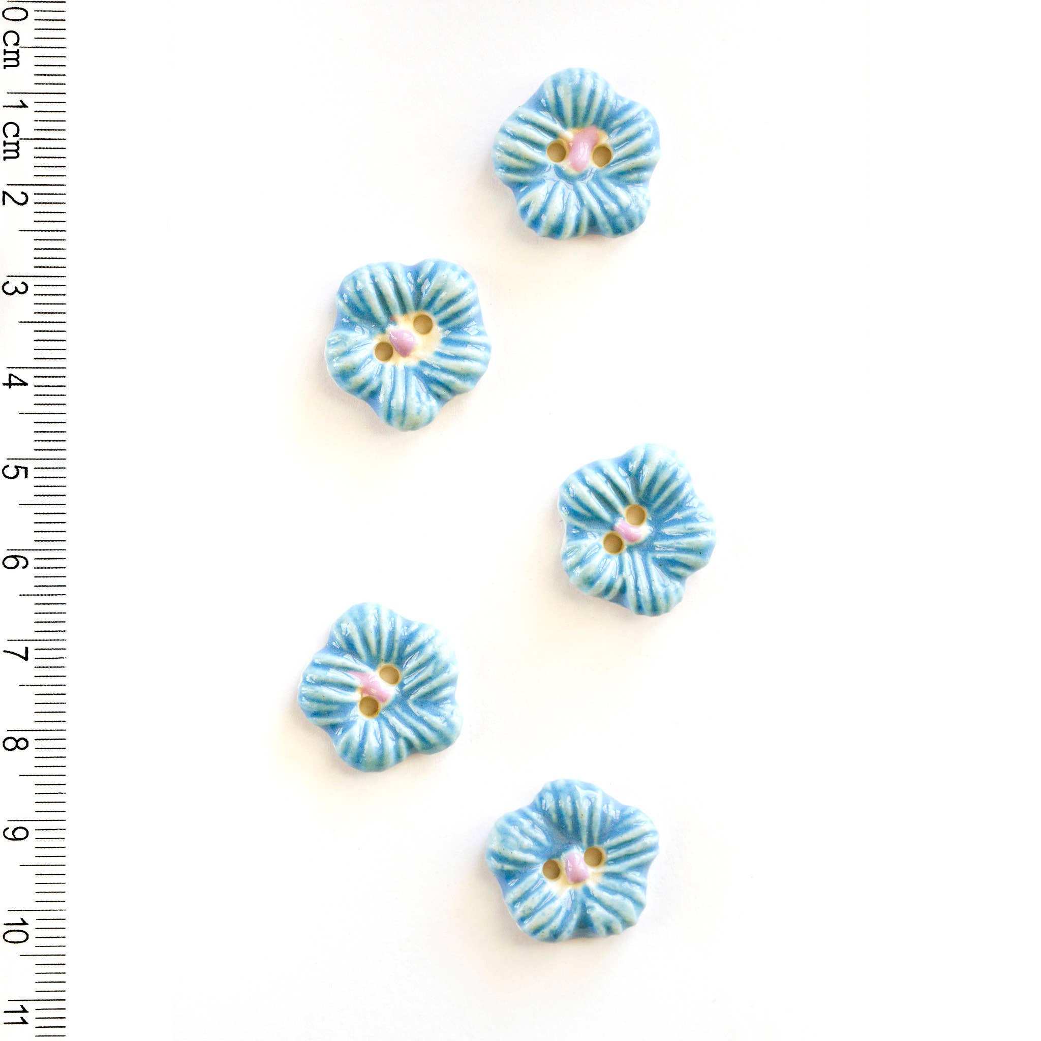 Boutons Incomparables - 5 Fleurs Bleues