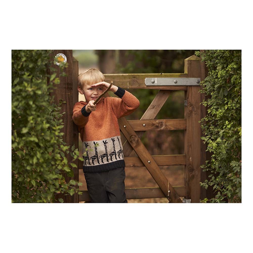 Rowan Hide & Seek von Martin Storey