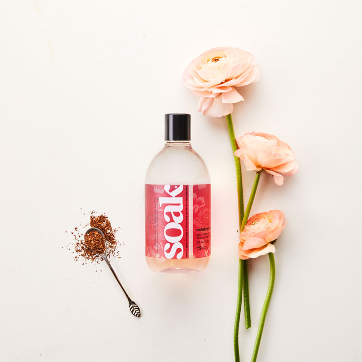 Soak No-Rinse Delicate Wash
