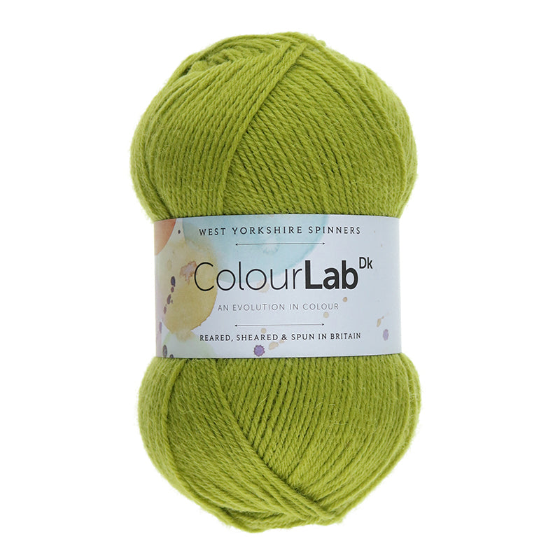 WYS ColourLab DK - Fin de lot de teinture