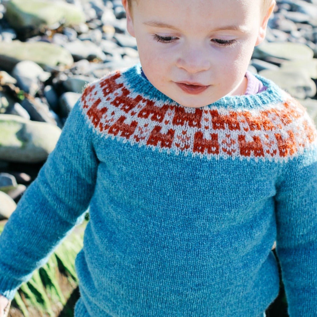 Bairns Crofthoose Yoke Pullover - Strickmuster