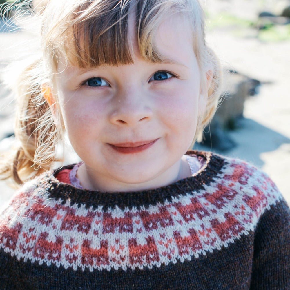 Bairns Crofthoose Yoke Pullover - Strickmuster