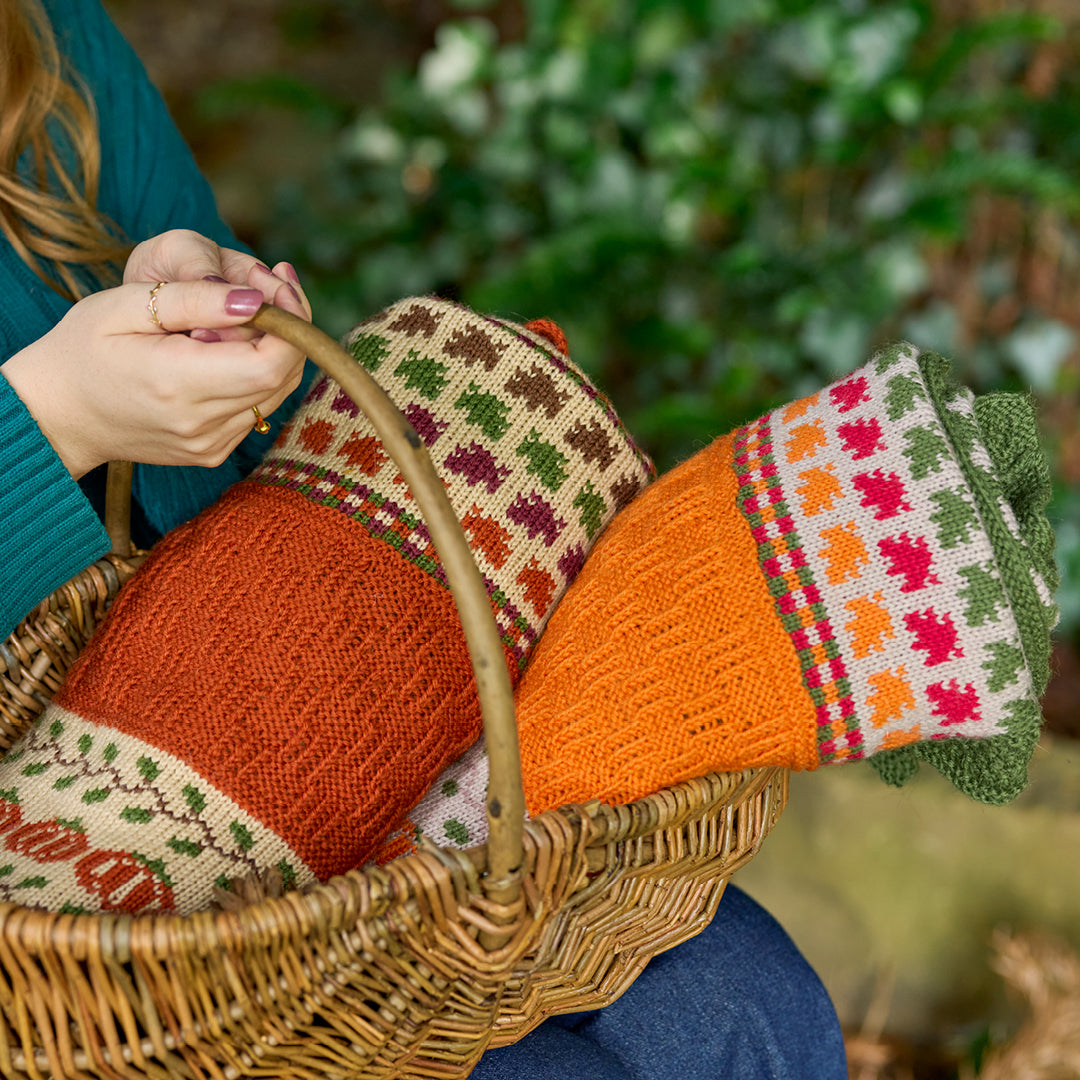 Couverture Forager - Modèle de tricot