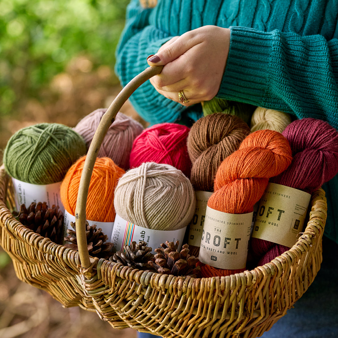 Couverture Forager - Modèle de tricot