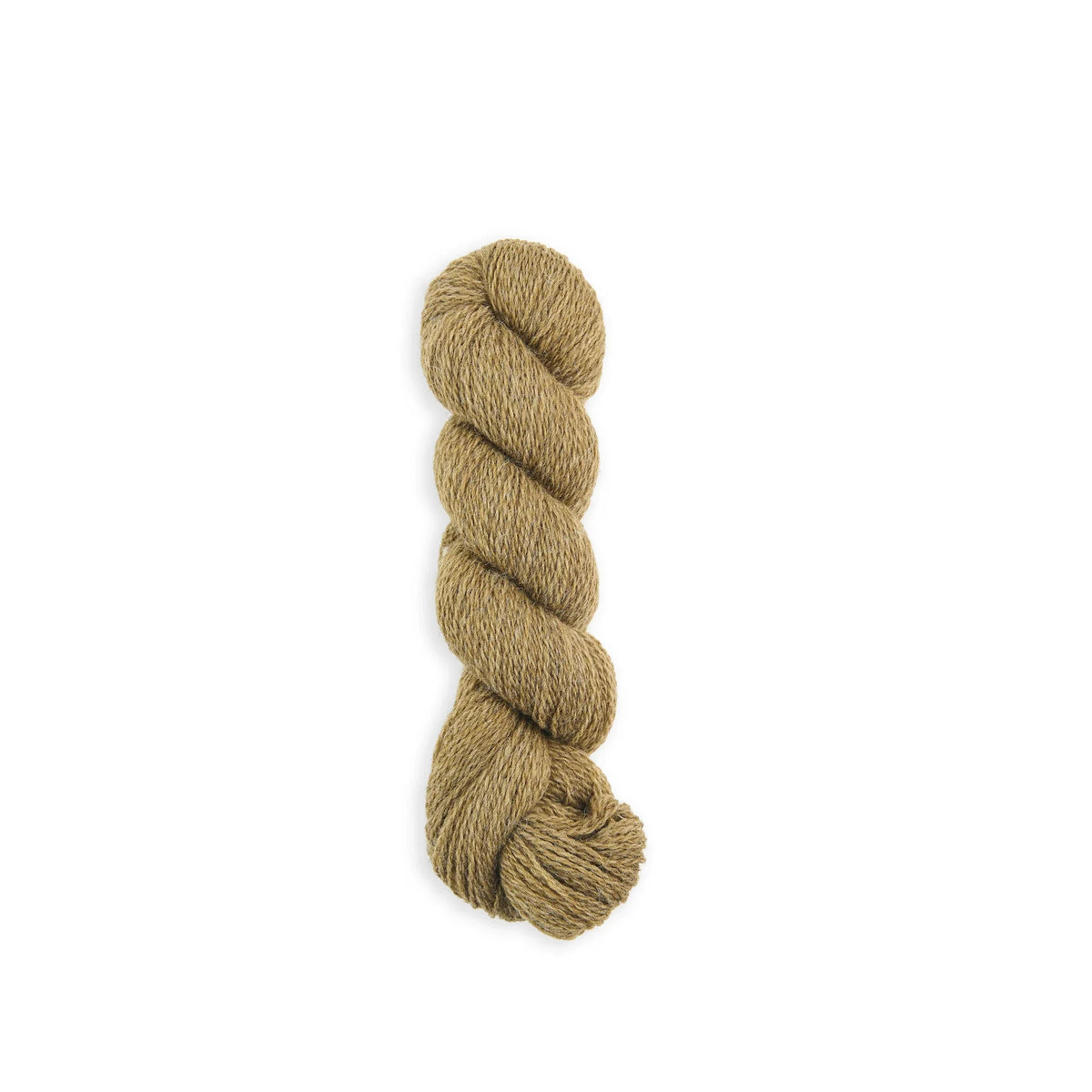 Bramble & Fleece Sheepsoft 4 Ply British wool yarn in shade Malham 216