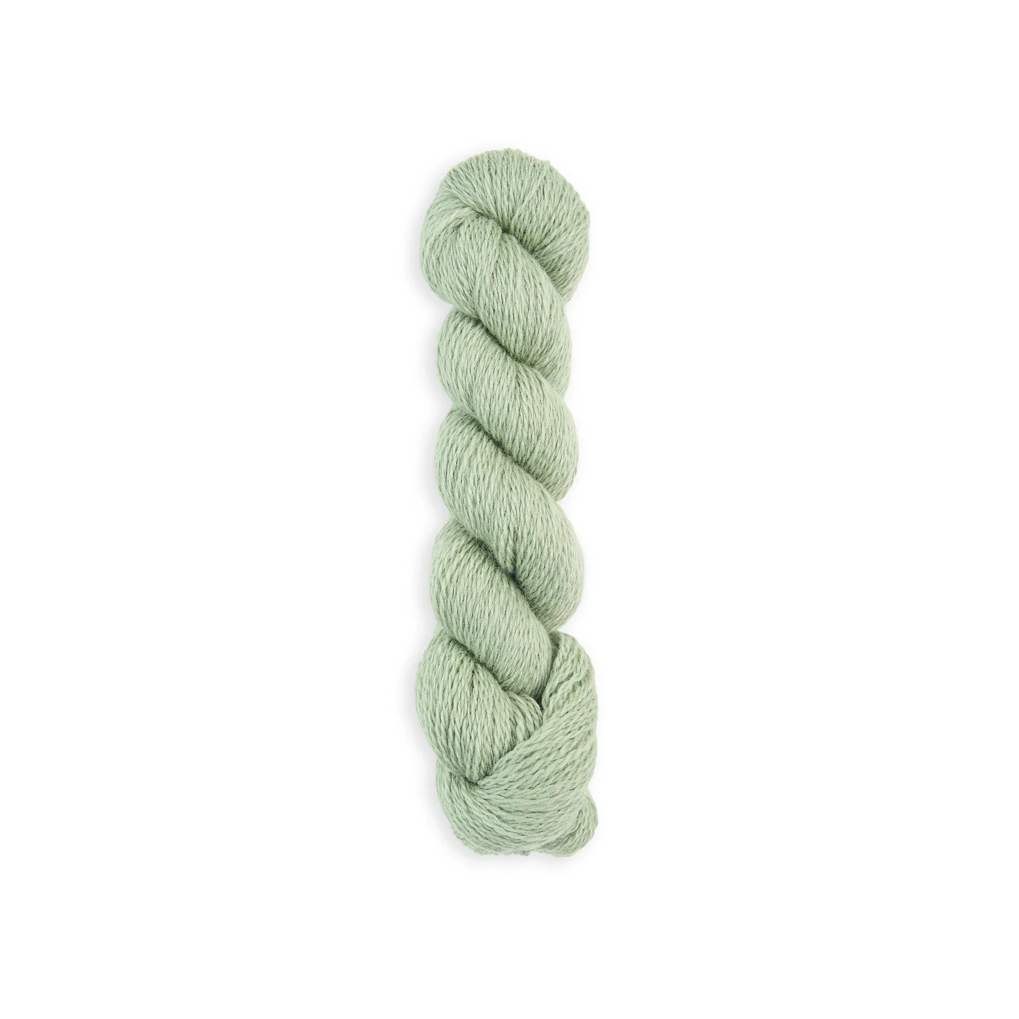 Bramble & Fleece Wooltrace 4 Ply British wool yarn in shade Celadine 244