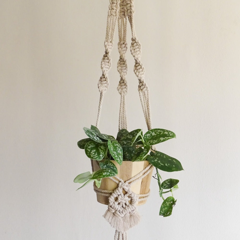 Boho Style Plant Hanger - Macramé Kit