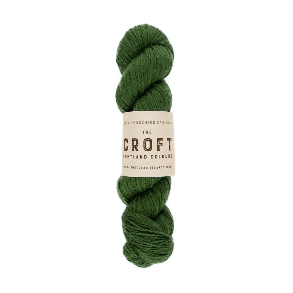 WYS West Yorkshire Spinners The Croft Shetland DK hank or skein in green shade greenbank 404