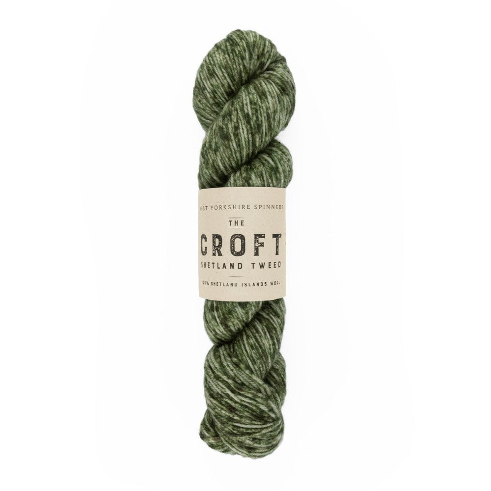 WYS West Yorkshire Spinners The Croft Shetland DK hank or skein in flecked green shades colour hillside 809